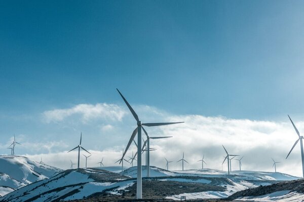 Energiemanagement, BAFA und Digital-Projekt – wie geht das zusammen?